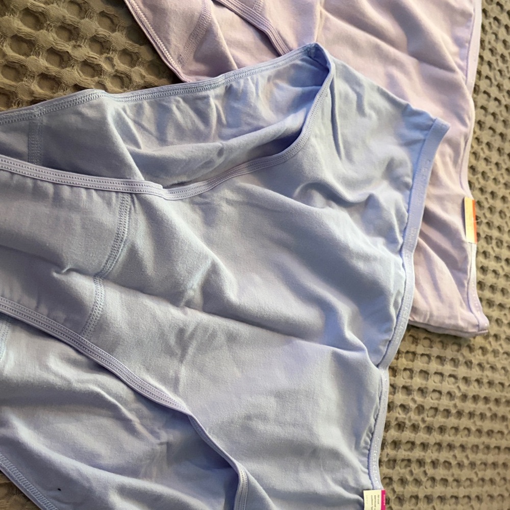 Cacique Light Blue and Lavender Panties